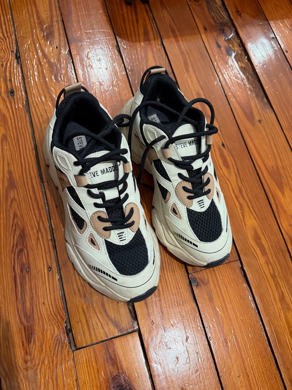 Steve Madden Sneakers